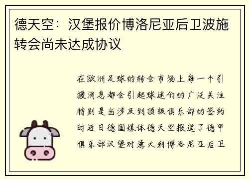 德天空：汉堡报价博洛尼亚后卫波施转会尚未达成协议